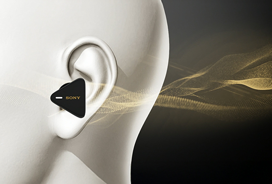 Project Output Image