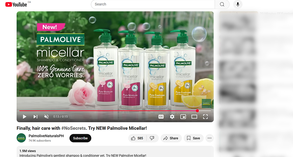 Project Process Image